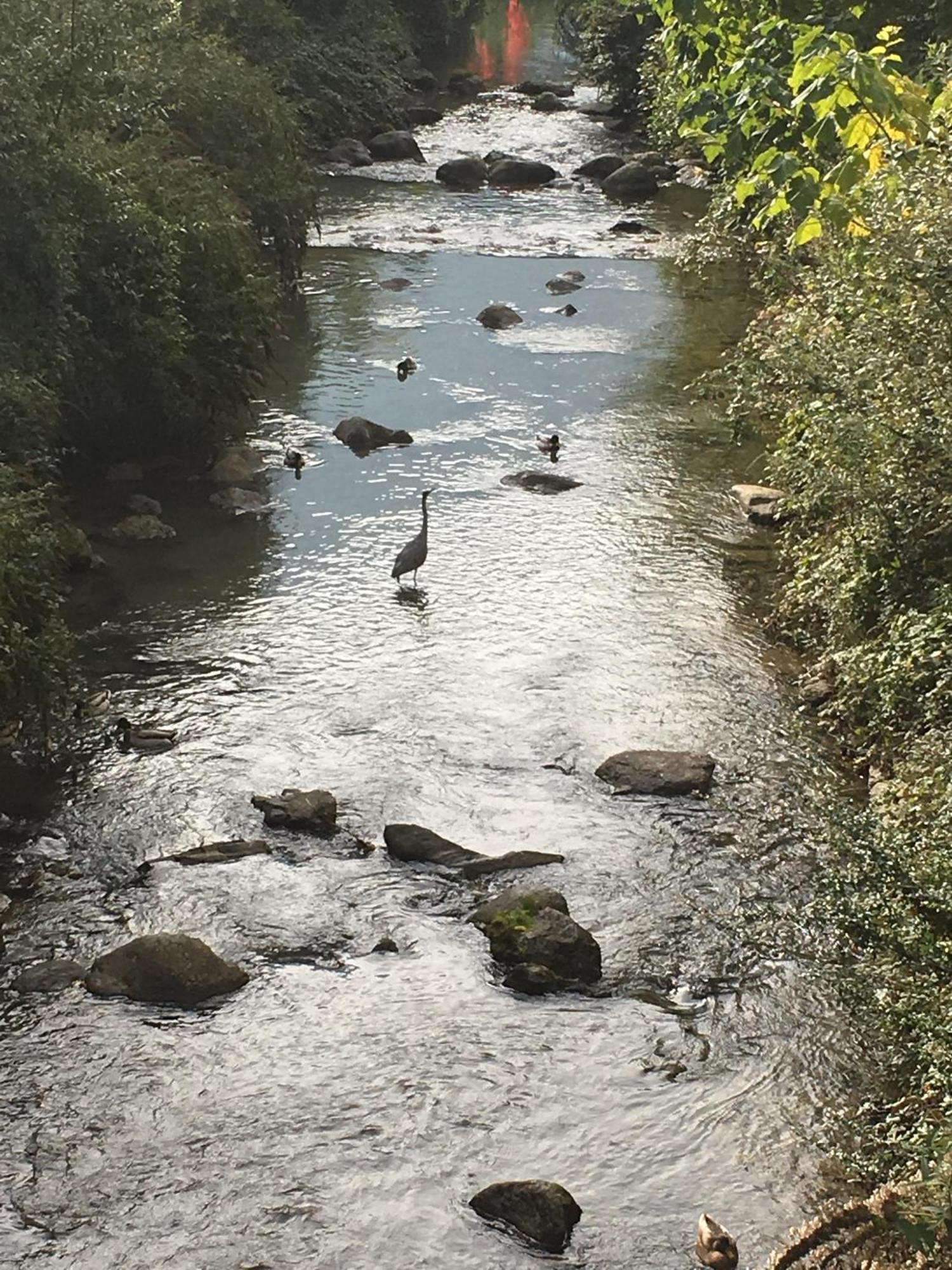 River House Πορλέτσα Εξωτερικό φωτογραφία